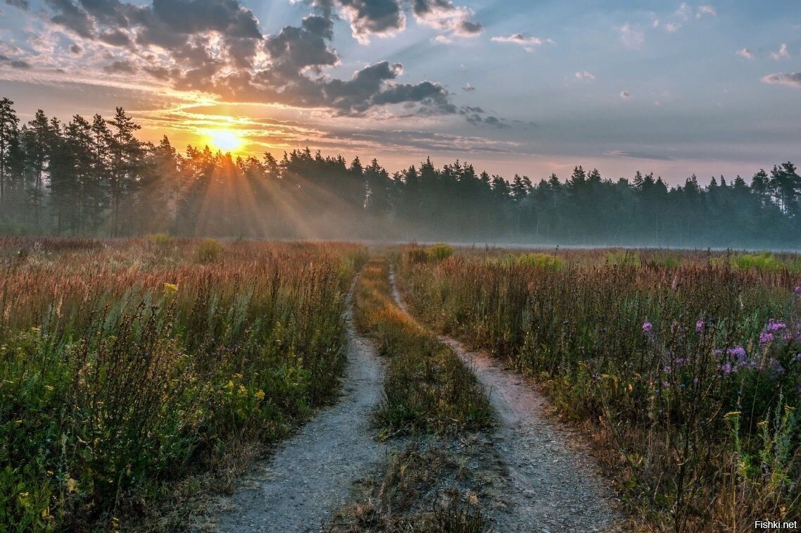 Рано ложись, рано вставай. Будешь здоровым богатым и умным. Источник фото-сайт: https://clck.ru/TQmXS