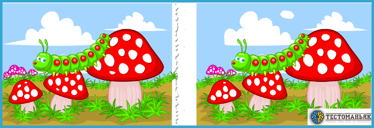 Источник: pixabay.com