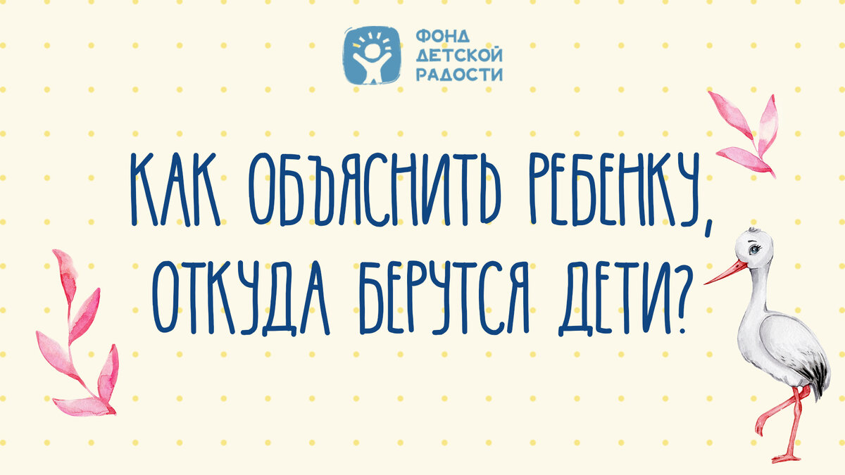 Центр аист и капуста