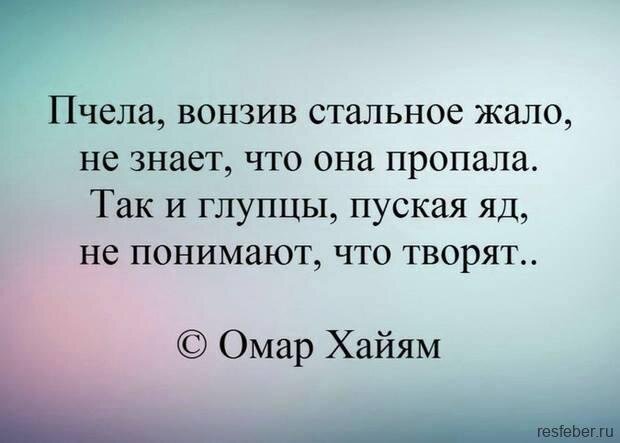 22 великие цитаты, которые стоит знать тем, кто рискует | Forbes Life