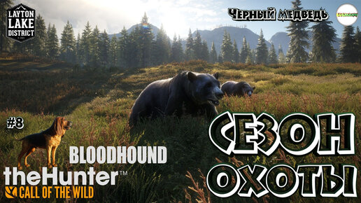 THEHUNTER: CALL OF THE WILD™- BLOODHOUND. ОХОТА С СОБАКОЙ. LAYTON LAKE. ЧЁРНЫЙ МЕДВЕДЬ.