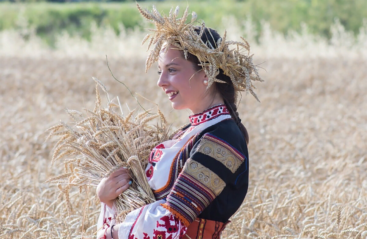 Бесплатный гектар словно живительный нектар. Фото pixabay.com 