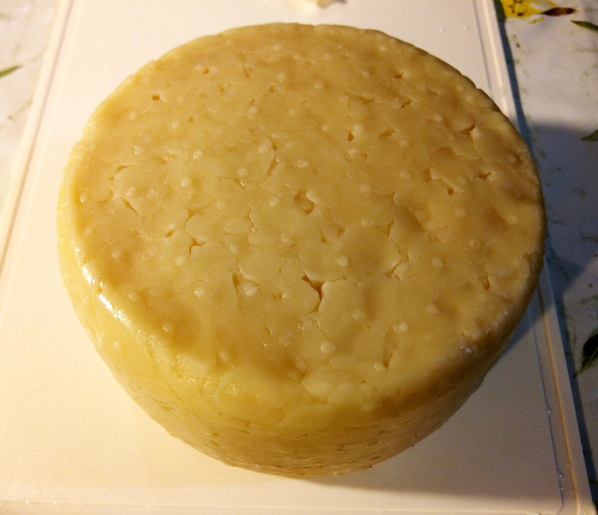 Головка качотты, которую я сделал в 2020 году и выдерживал 7 месяцев. Фото автора.