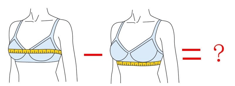 Фото Яндекс картинки.