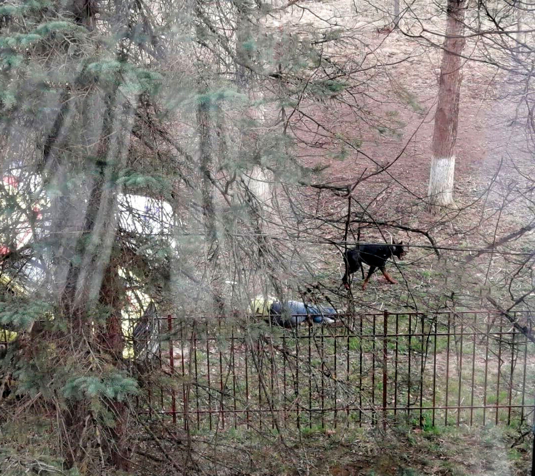 Фото взято из открытых источников интернета