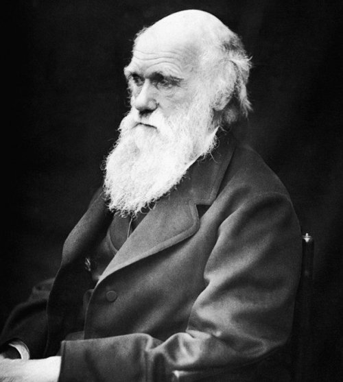 25. Чарльз Дарвин (Charles Darwin)                                                                                Фото: wikimedia commons