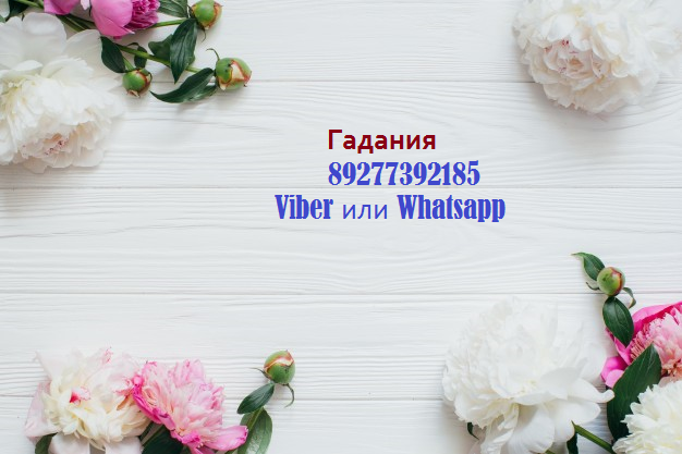 Для личных консультаций пишите по этому номеру