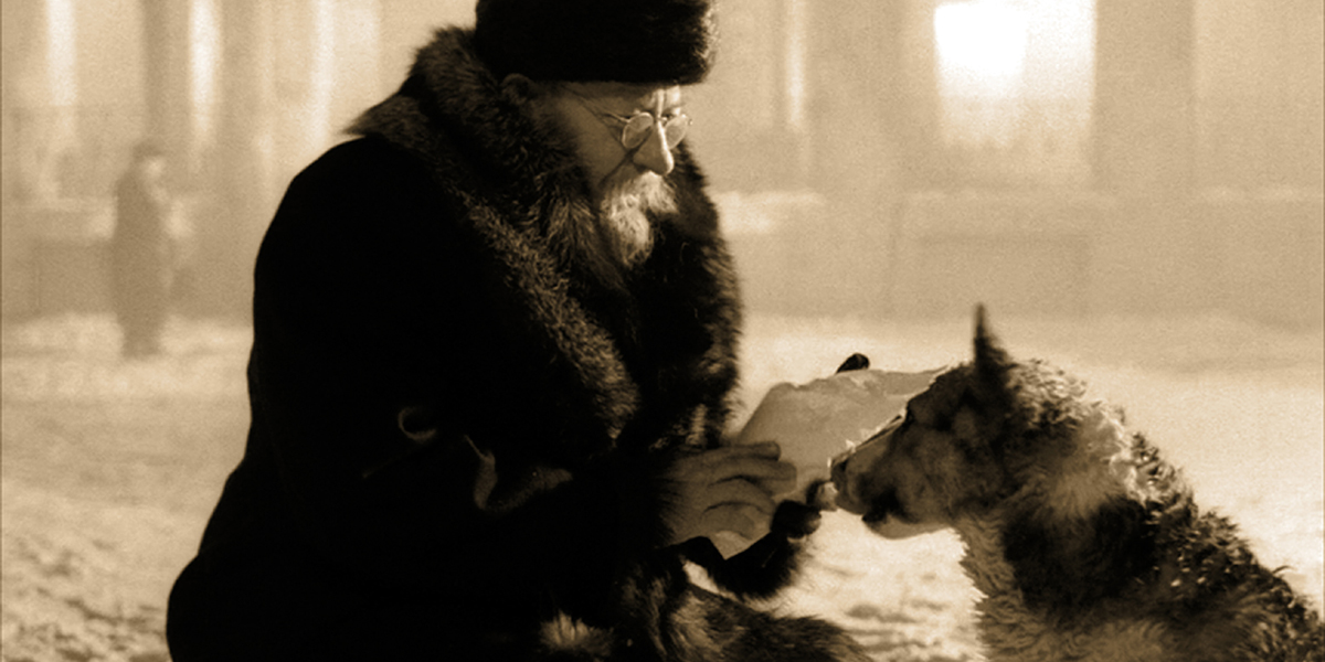 Собачье сердце (1988).