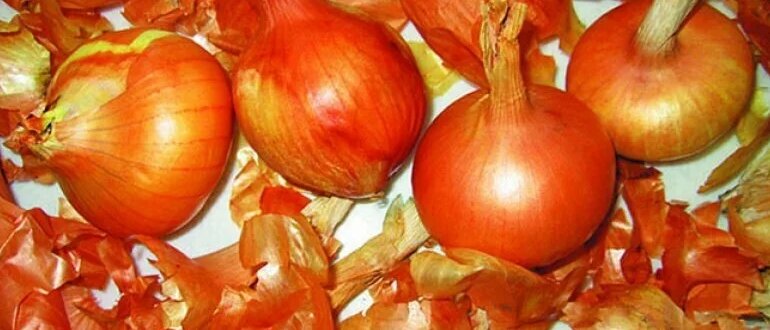 луковая шелуха