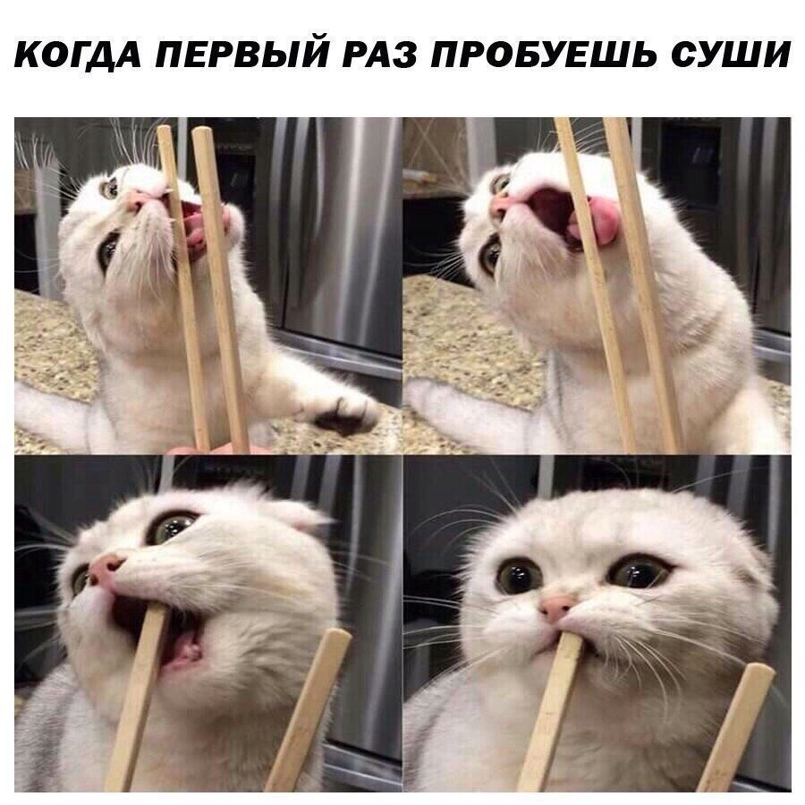 Коты поднимающие настроение