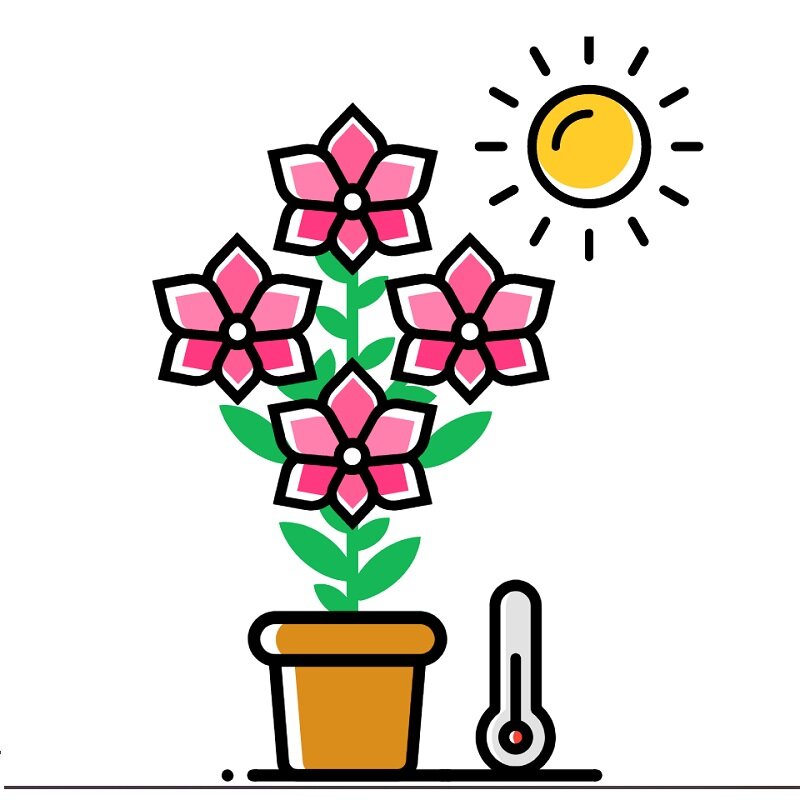 Освещение - это важно!