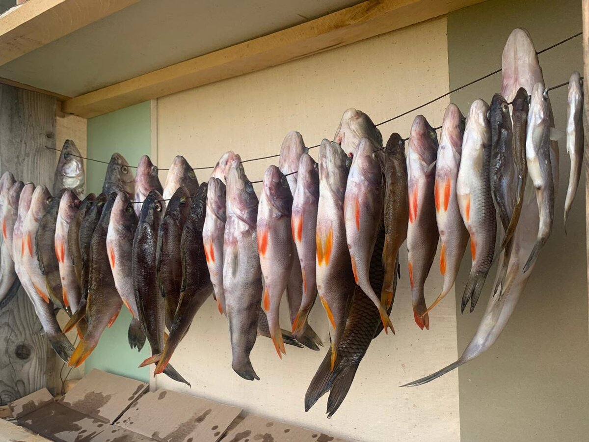 сушеная рыба - отличная закуска