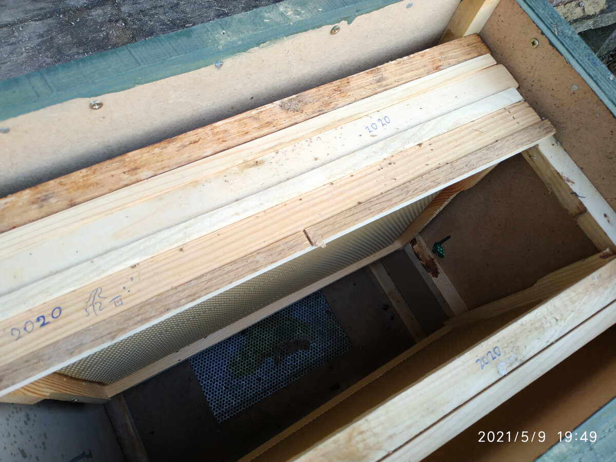 видна принципиальная конструкция ловушки - каркас, обшитый тонким двп, в дне присутствует довольно большое вентиляционное окно, леток по центру у низа рамок, подрамочное пространство примерно на половину высоты рамок