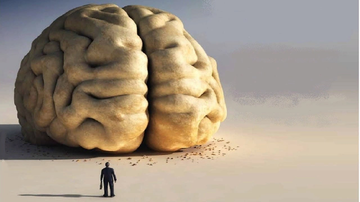 Картинка способный. Размер мозга и интеллект. Мозг и природа.