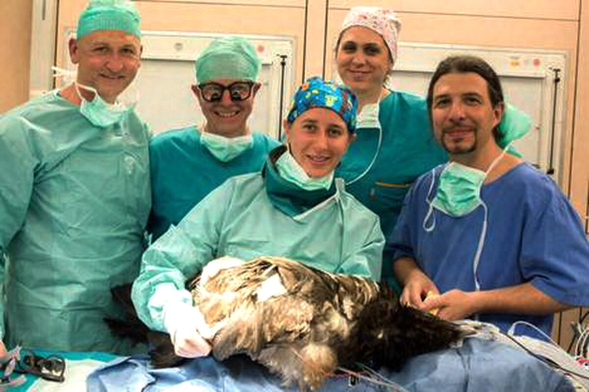 фото из открытых источников