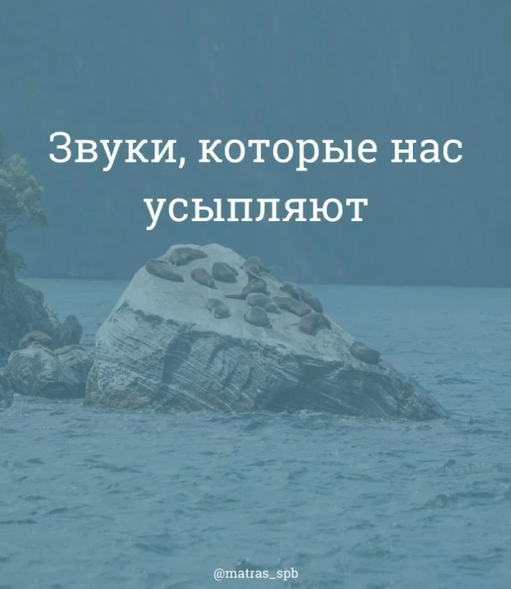 Тишина - лучший релакс для нашего мозга. 