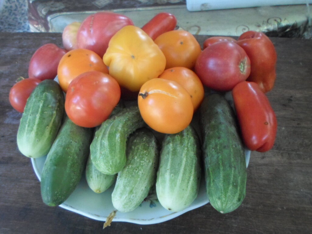 Огурчики, помидорчики в центре Сочи.