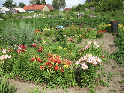 https://www.facebook.com/flowers.143myinspiration/photos/a.741695622650503/13721
