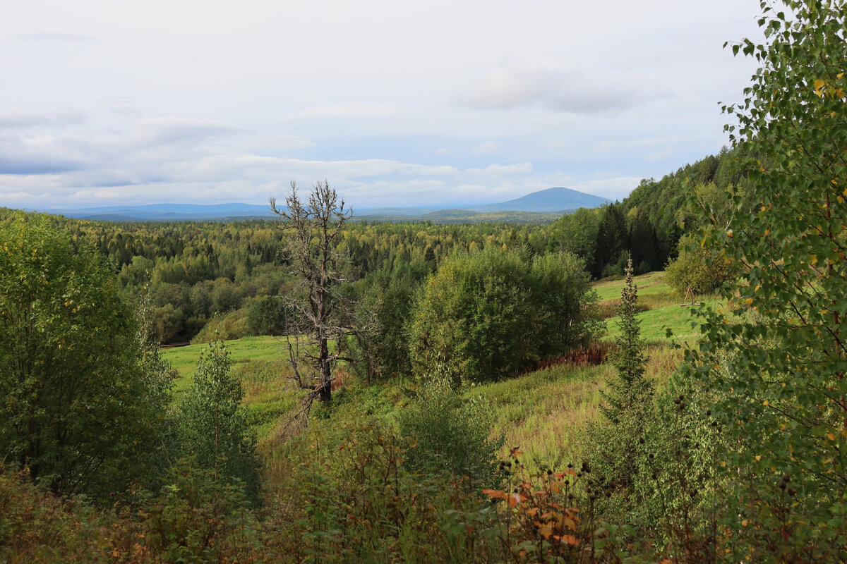 Фото: Екатерина Абросимова "Воскресенка"