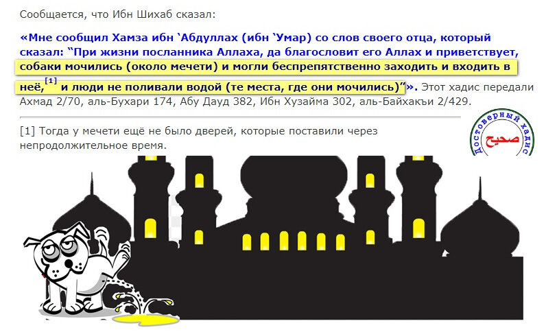 язычество арабов. ислам язычество или христианство. язычество где распространено. языческие религии мира. отношение ислама к другим религиям.