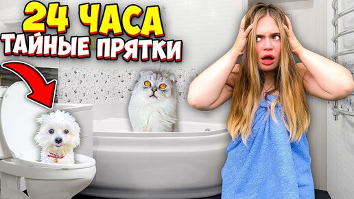 унижения в туалете порно видео HD