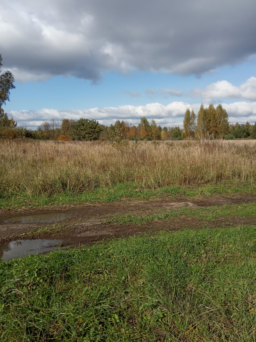 Вчера еще дождь лил.