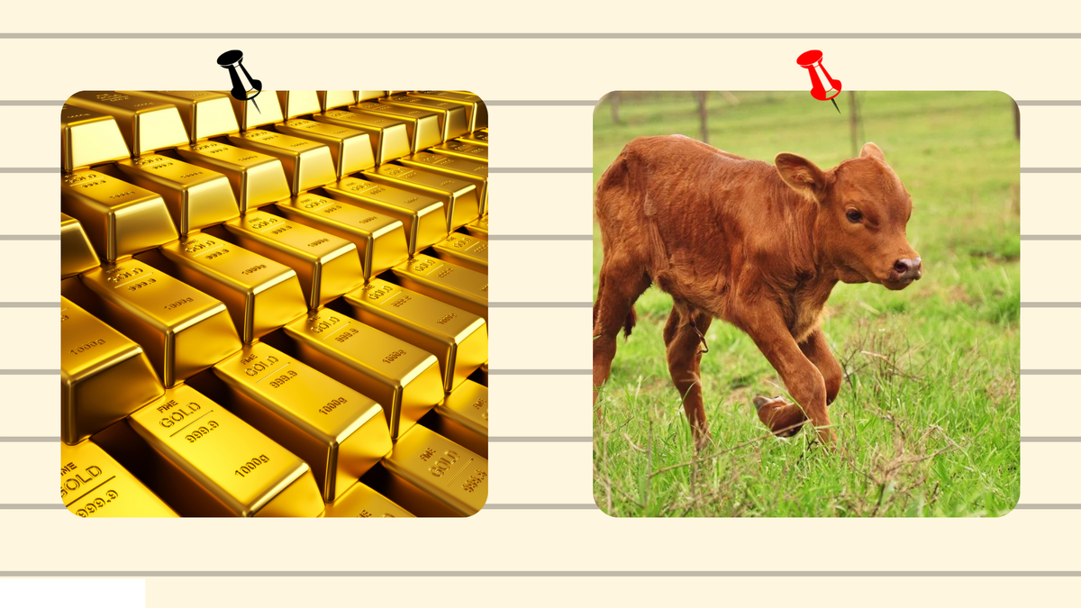 Какое слово зашифровано в ребусе. Что тут зашифровано. Здесь зашифровано 6 слов. Конверттагы " валюта" 5 хэреф. Задание 6 какое животное здесь зашифровано.