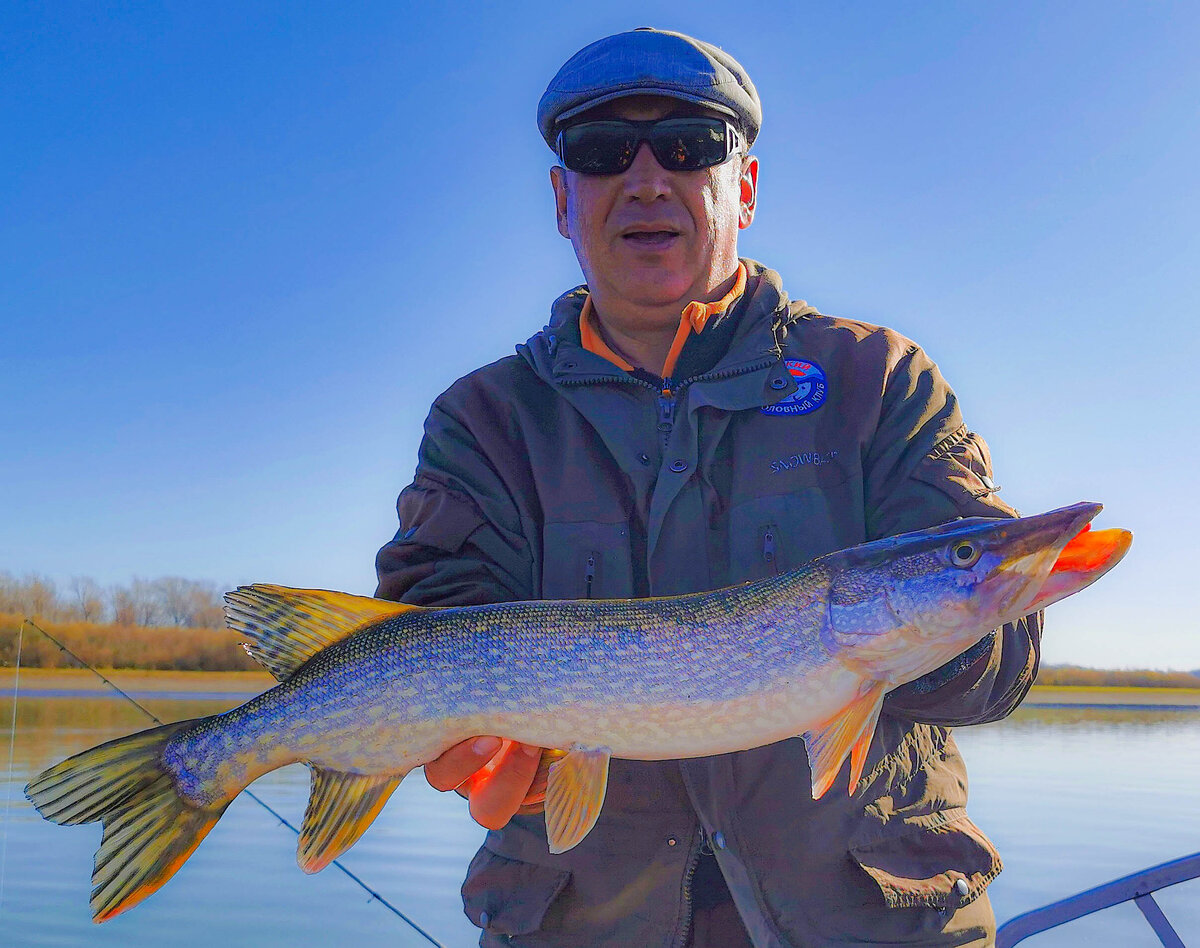 Щука, икра которой, через 5 часов, пошла на эксперимент. Фото "Лодочник"