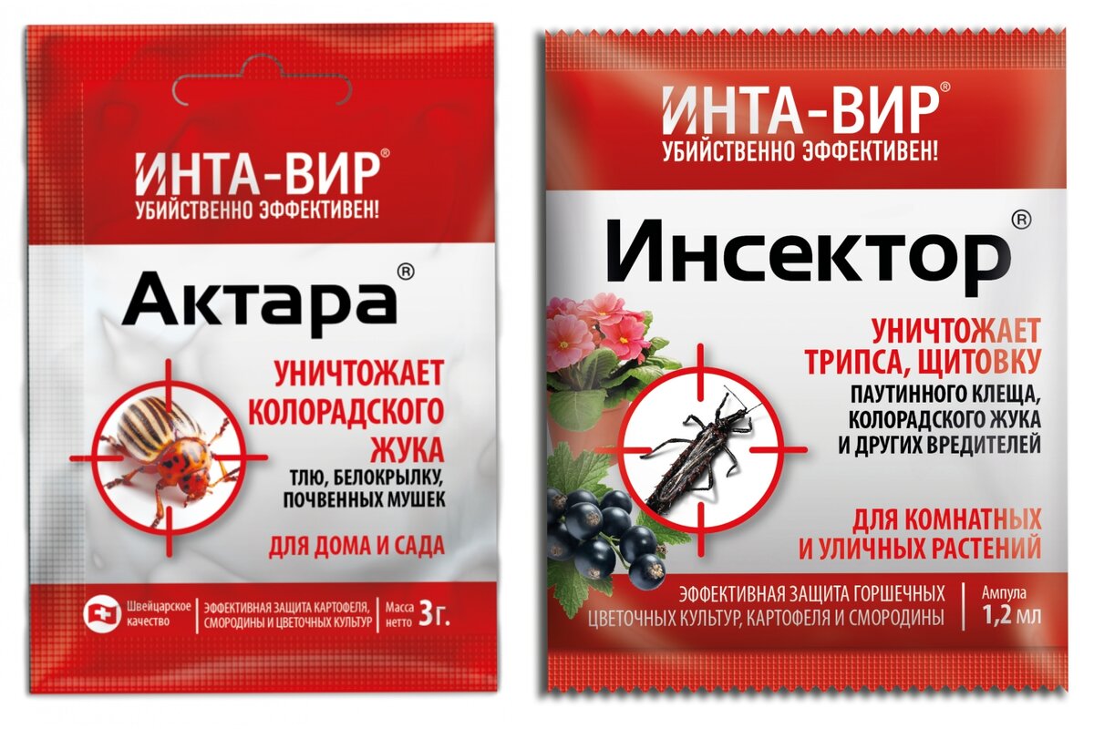 Инта вир препарат инструкция по применению. Интавир. Инта-вир от муравьев 100гр. Интавир картинка. Вир в лекарствах
