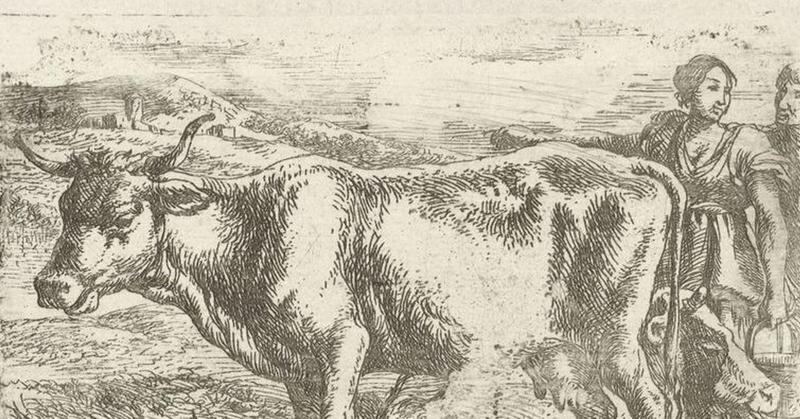 Доярка с коровой, Ян ван Оссенбек, 1647-1674 гг.