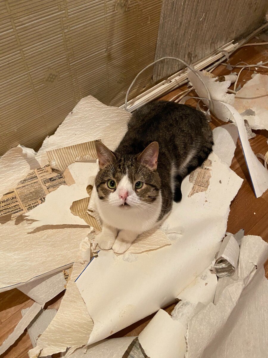 Больше летящих обоев на пол!