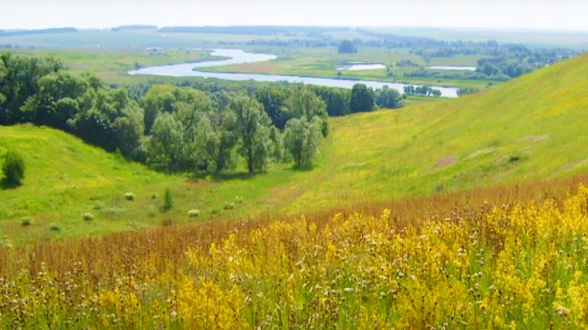 Родина Есенина и дорогое место для Паустовского. Рязанский край – красота  просторов, запечатленных в творениях русских авторов | Путешествия на  машине | Дзен