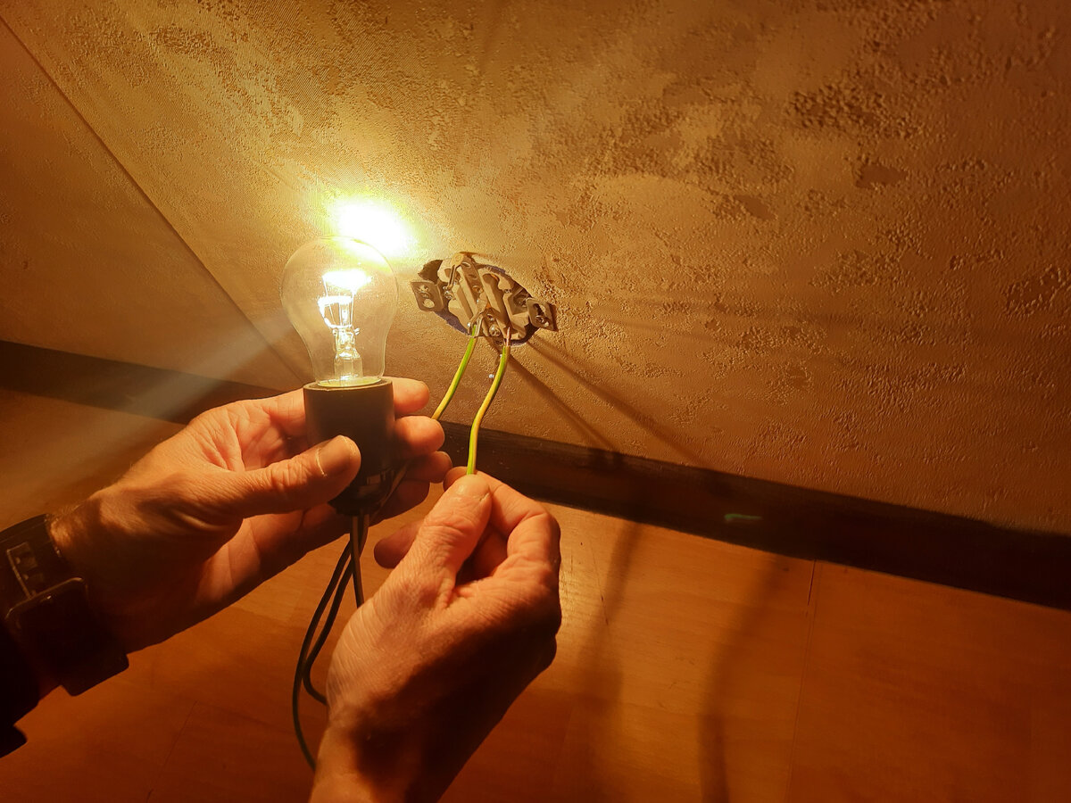 фотография "автора " 