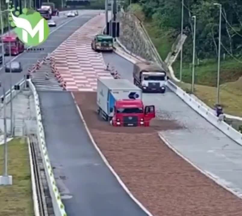 источник: https://smartik.ru/irkutsk/post/118975039