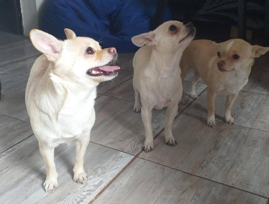 фото из личного архива