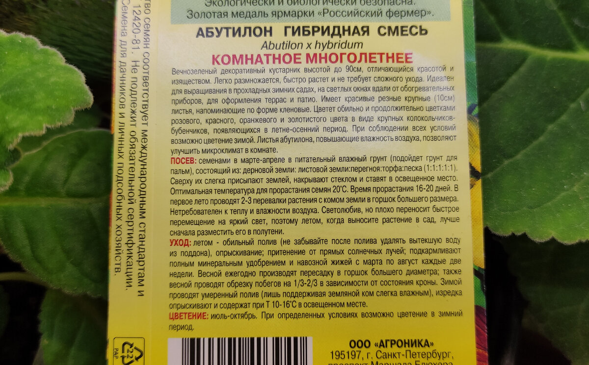 Фото автора