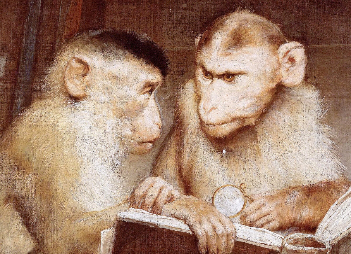 Жесты шимпанзе. Книга человек обезьян. О чем рассказали говорящие обезьяны. Книга человек обезьян. Книга человек обезьян.