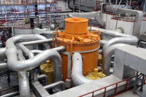    Фото: atomic-energy.ru Наталья Усова