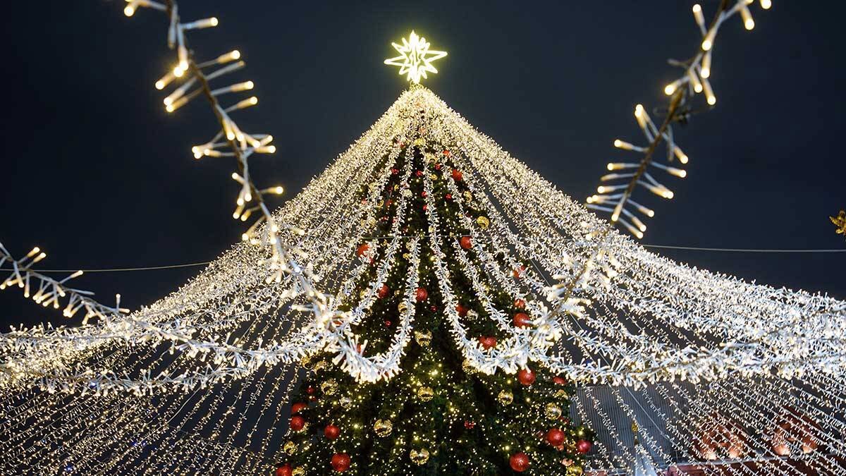    Фото: АГН Москва