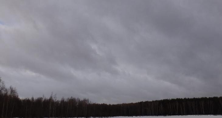    Ноябрьский снегопад замедляет уборку поздних культур в Рязанской области
