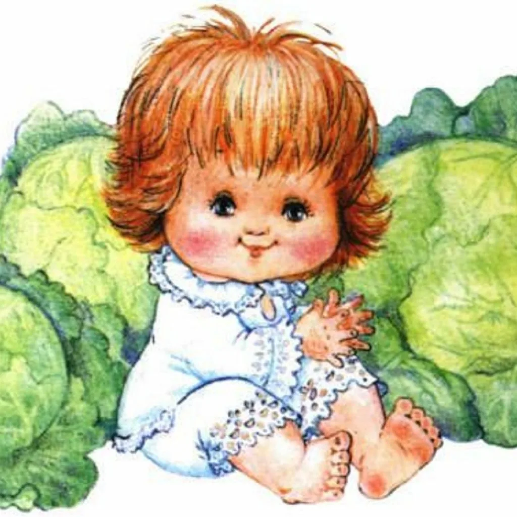 Откуда берутся дети? Взято из свободного доступа.