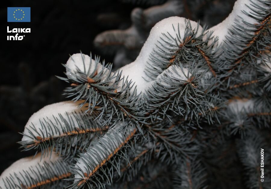 Замерзающая Европа