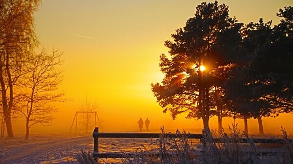    Морозный день, архивное фото© Pixabay