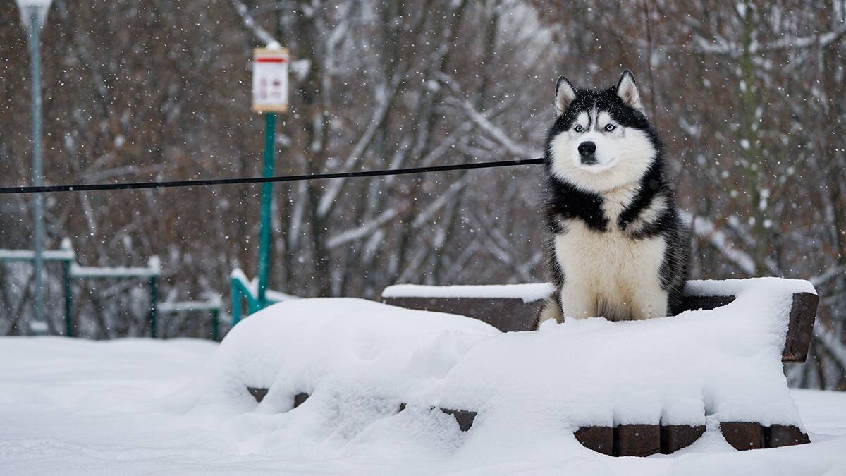    Фото: Пелагия Тихонова / АГН Москва