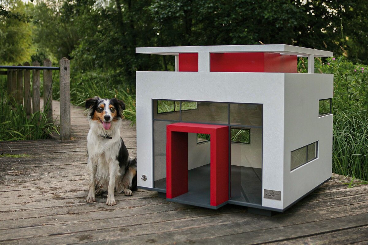 Дом "Прозрачный"