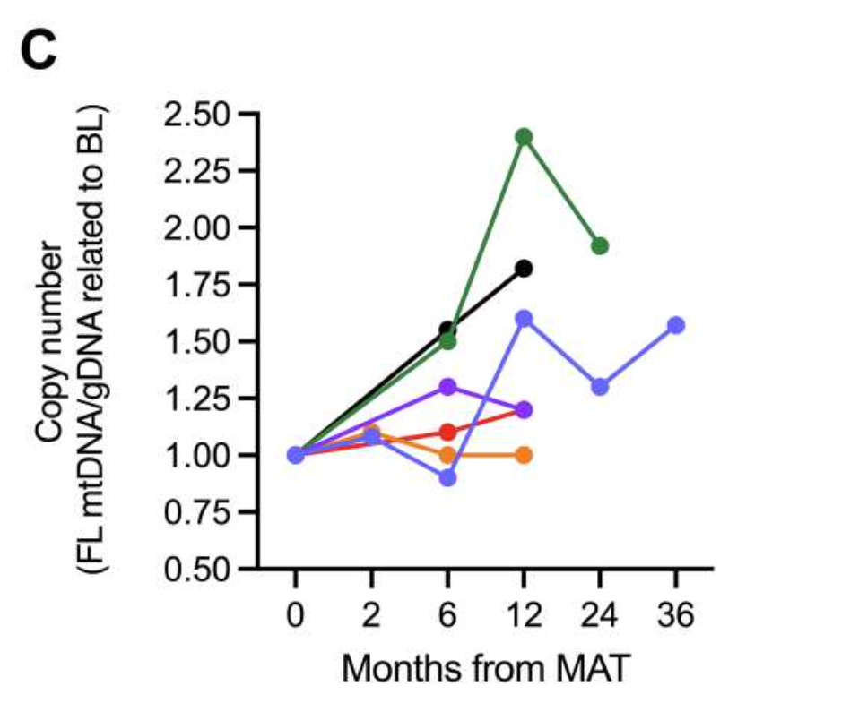     Разными цветами (для шестерых из семи детей) показано, как изменялось число немутантных копий ДНК с течением времени после пересадки Jacoby et al. / Science Translational Medicine, 2022