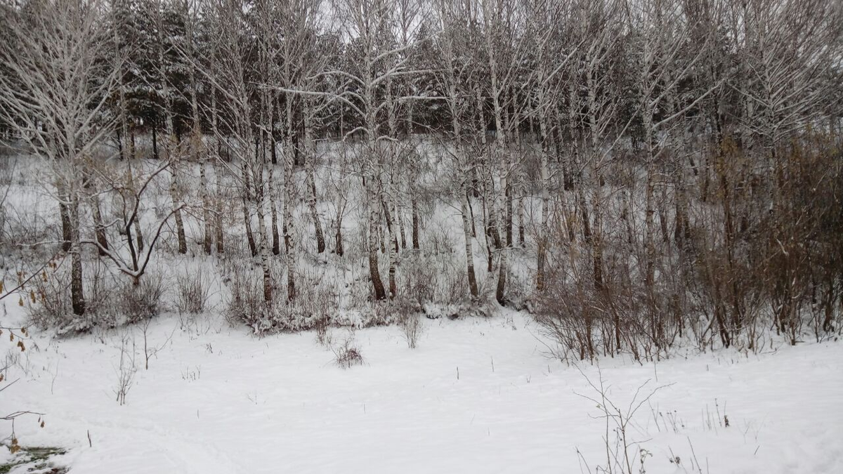 Фото автора.