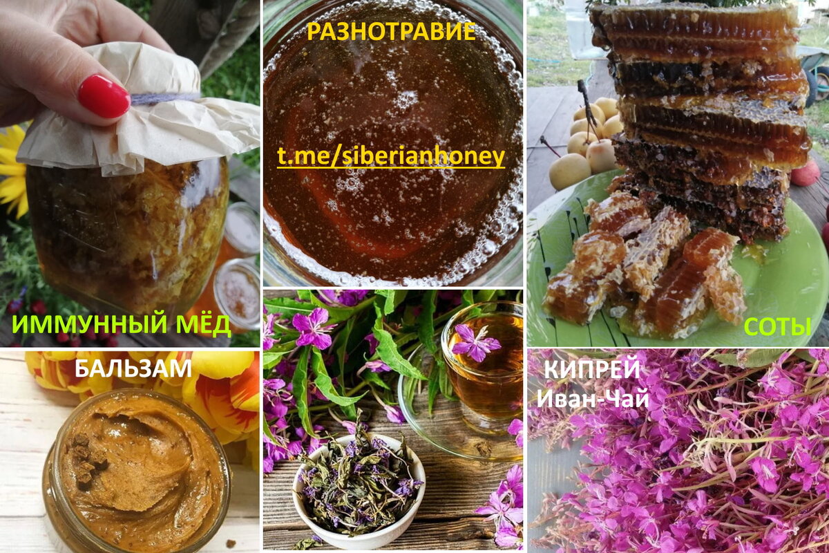 Читай медовые рецепты и покупай 100% мёд у нас в чате: https://t.me/siberianhoney