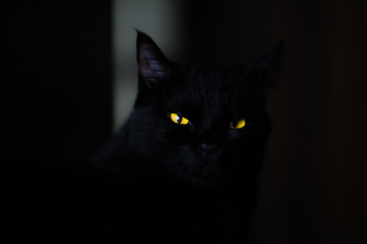 Вот он, настоящий мушшына. Photo by Eduardo Mallmann on Unsplash