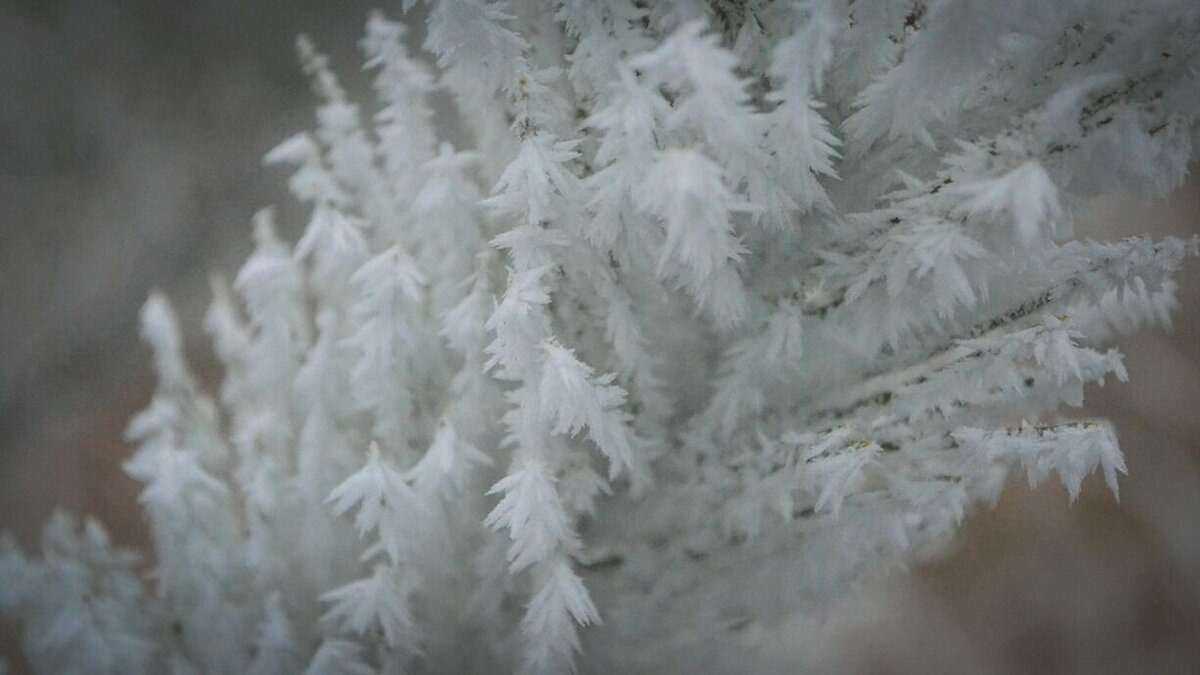     Жители республики замерзали на остановках и дома, но не они одни, замерзли даже трамваи и «умные остановки».